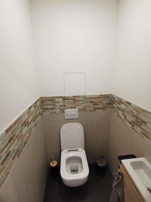Červená Voda Apartman Bila Voda מראה חיצוני תמונה